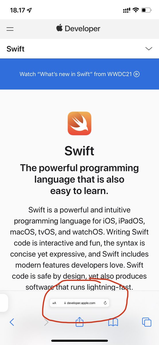 NikolajMosb's tweet image. Is this Safari’s anti-accessibility? 🤔 @Apple #AppleBug
