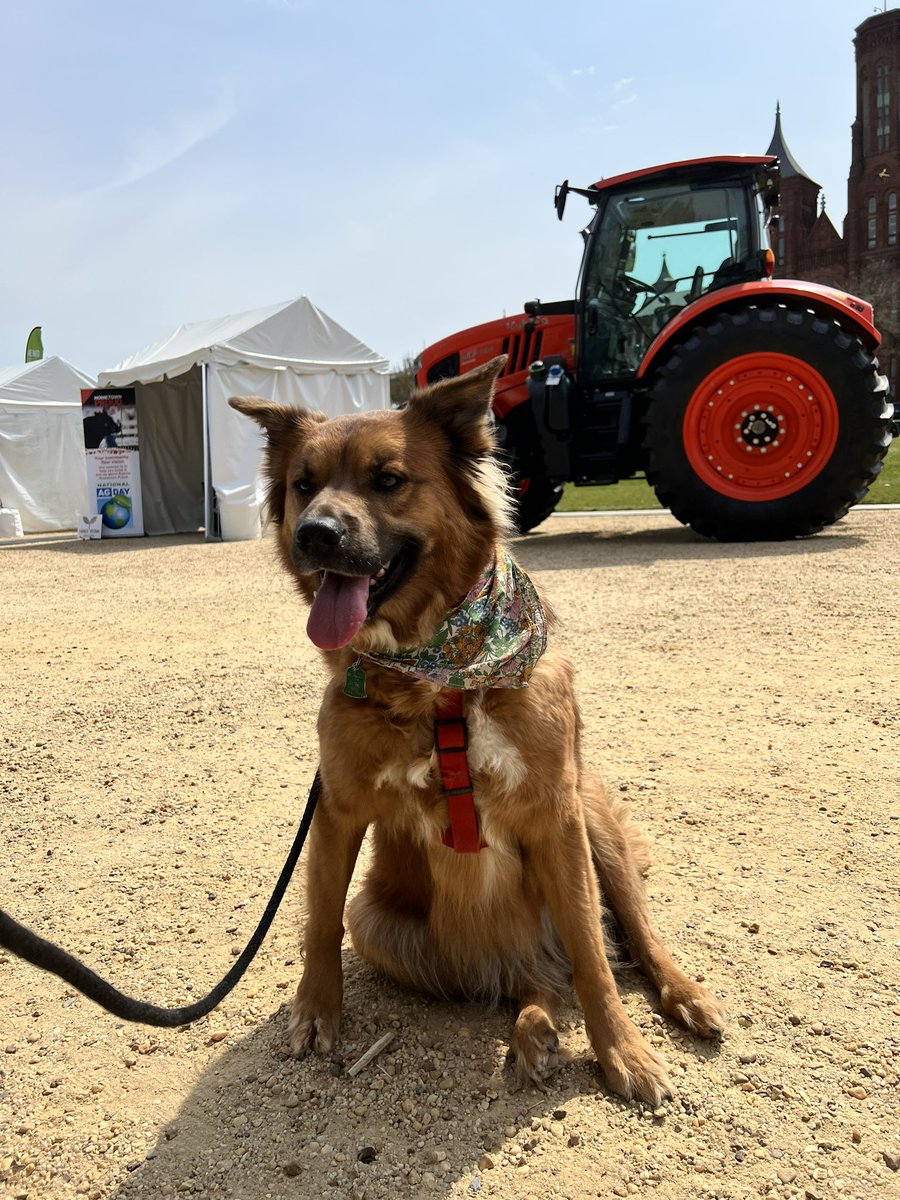 Pretty cute @GrowthEnergy booth mascot at #agonthemall #AgDay22