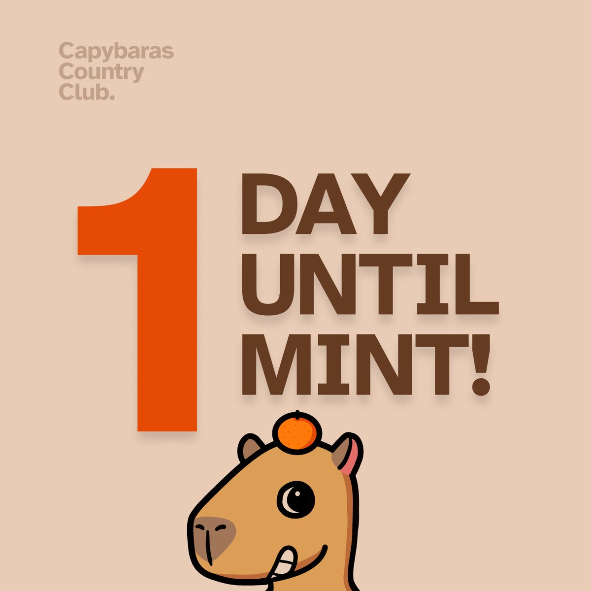 CapybarasCC's tweet photo. Almost there 🤩 Can't be more excited! https://t.co/Dv2NPlnvnr