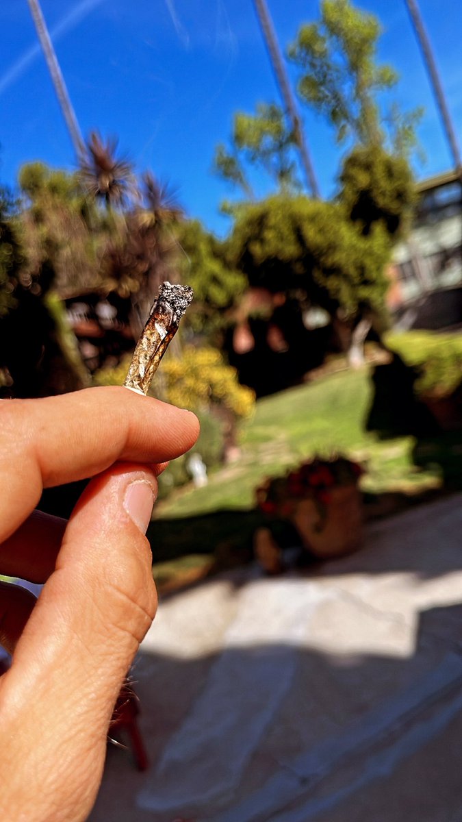 MossNFT's tweet photo. Another day, another doobie. (Or 12). To all y’all, especially the 125 souls that follow #highpanda… Kick the shit outta today.
#weed #nft #cannabis #wagmi https://t.co/Xy6CxISud4