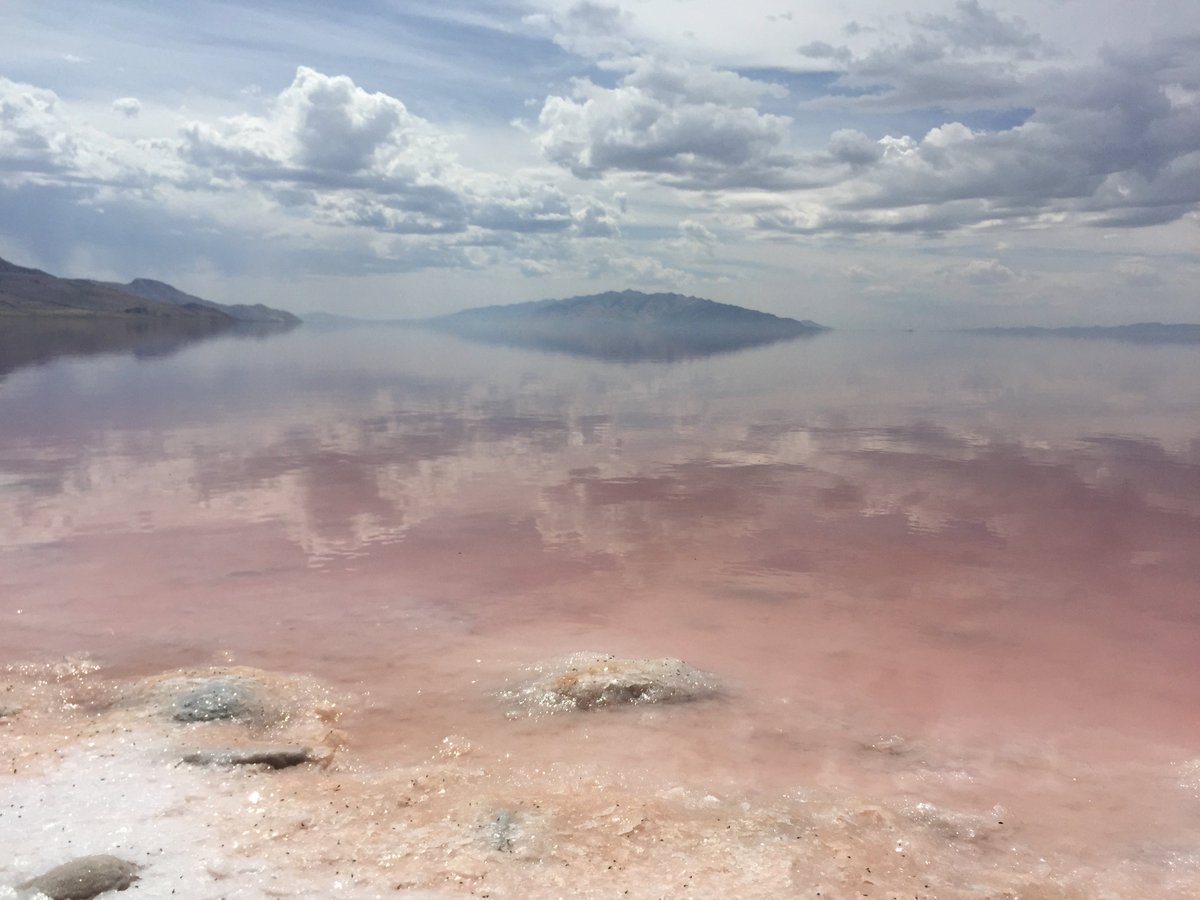 WWAnews's tweet photo. Happy #WorldWaterDay from all of us at WWA!

Photo from WWA's Seth Arens looking across the Great Salt Lake's Carrington Bay. The lake's hypersalinity causes salt precipitate on the lake bed. The pink color comes from cyanobacteria that thrive in the extreme salt environment. https://t.co/xzQhDqBv1p