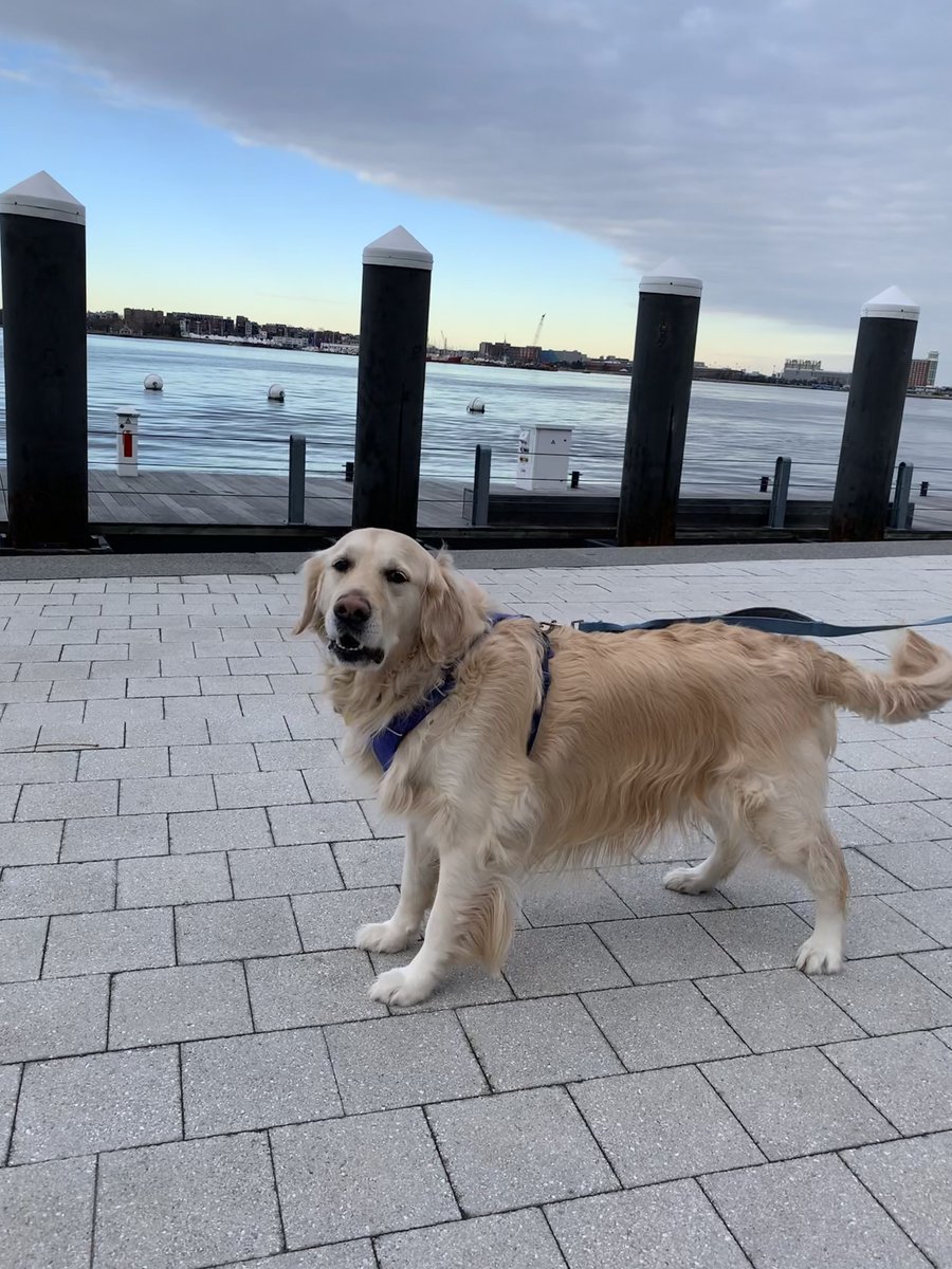 GerstenIlana's tweet photo. “I'm thinking the Seaport's in new development. So [the flooding is] probably being taken into consideration,” said Lisa, who is new to the Seaport area.
If flooding becomes a problem for her, her priority is finding an inland route to walk her dog. @TheScopeBoston #RisingSeaport https://t.co/21pl8YXtoa