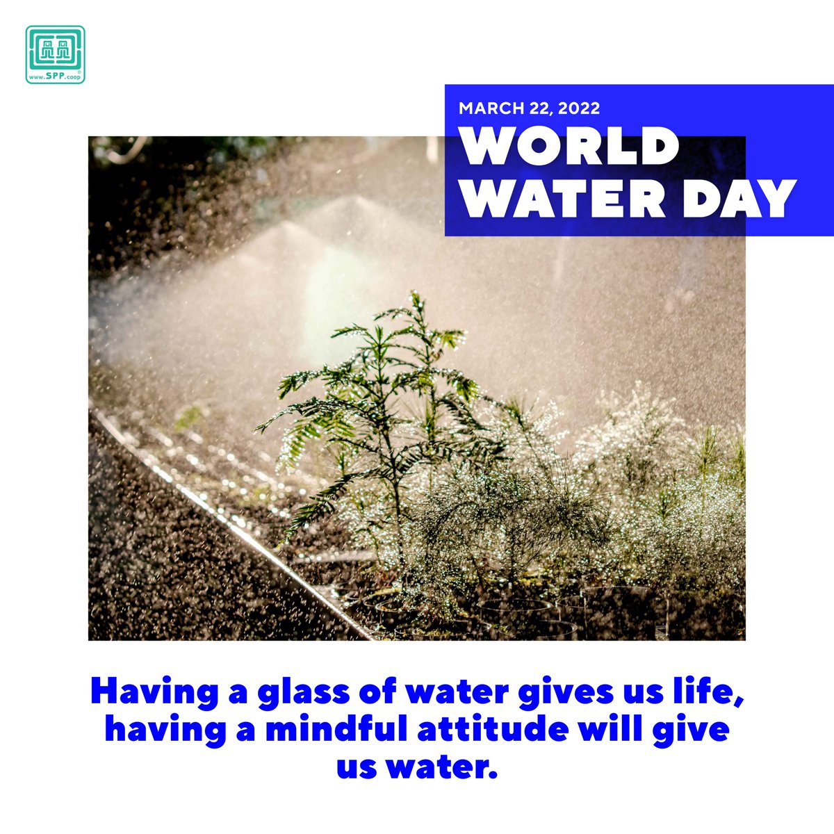 Producing sustainably is key to protecting the environment 💧. SPP small producers produce on a small scale 🌱; their products are high-quality, organic and agroecological products that are healthy for you and the planet 🌍.

📷 Coop Sol&amp;Café

#WorldWaterDay #SPP
Leer menos