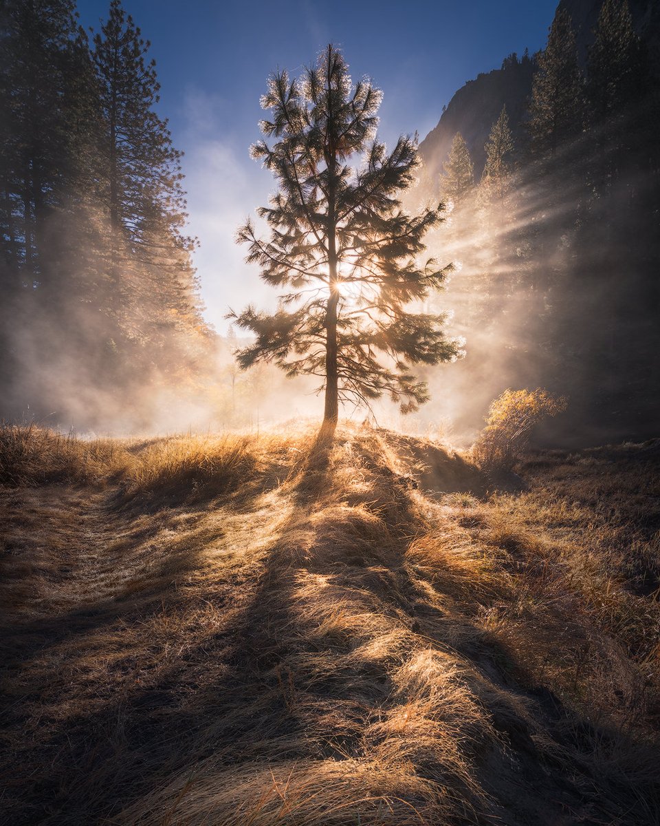 Michael Shainblum tweet media