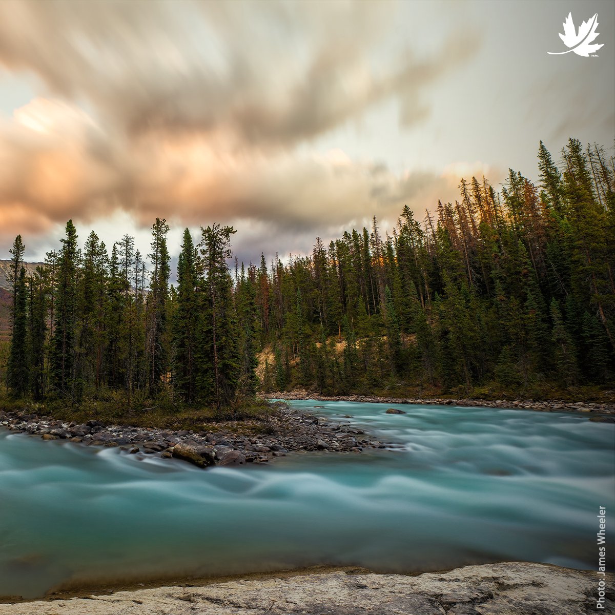 NCC_CNC's tweet image. Did you know there are an estimated two million lakes in Canada? That’s more than any other country in the world! Check out more fascinating facts about Canada’s fresh water for #WorldWaterDay: fal.cn/3n9nU 💦