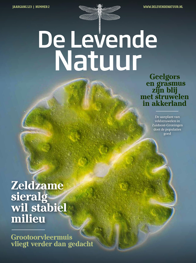 delevendenatuur's tweet photo. Het tweede nummer van De Levende Natuur van dit jaar verschijnt vrijdag!  Abonnees kunnen dit weekend al meteen beginnen met lezen.

Nog geen abonnee? Meld je snel aan, dan krijg ook jij zorgeloos de komende nummers thuisgestuurd.
https://t.co/WZXF3wRK4n https://t.co/MtjFUBTtWT
