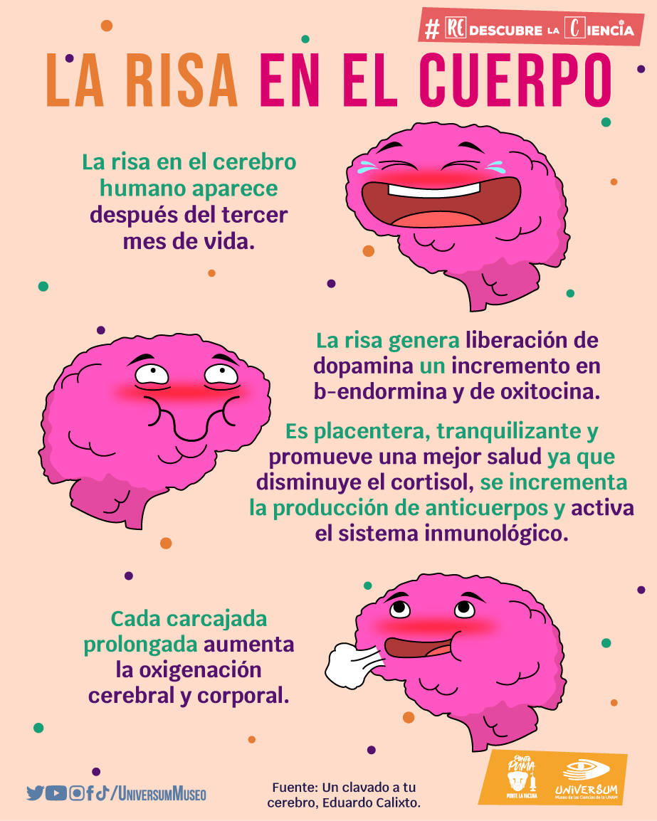 FacMedicinaUNAM's tweet photo. ¿Qué beneficios genera la risa en nuestro cuerpo 😆❤️? @UniversumMuseo https://t.co/IOj7ETasAr