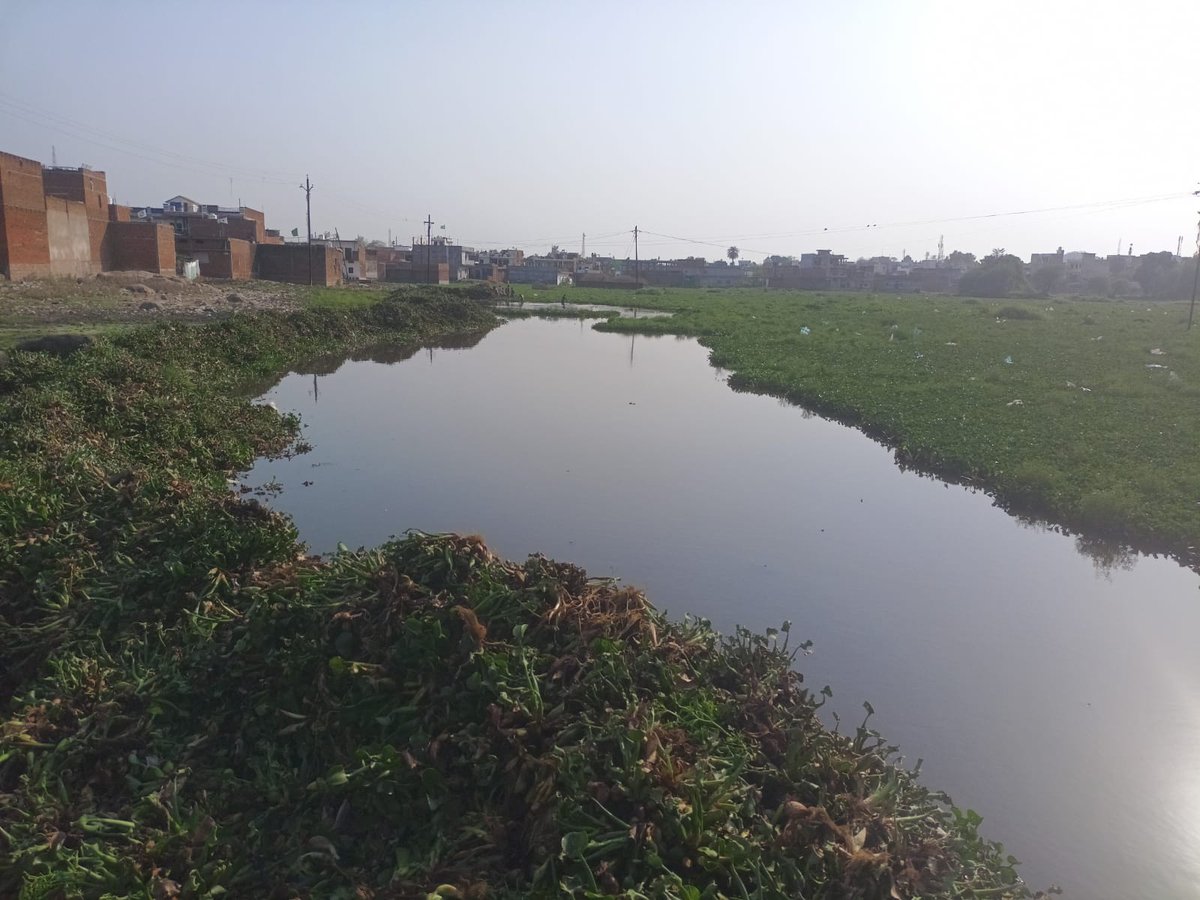 PROJSChhatarpur's tweet photo. स्वच्छता से शहर की बदल रही तस्वीर
तालाब हो रहे पुनर्जीवित
कलेक्टर एवं प्रशासक नपा छतरपुर श्री संदीप जी आर के निर्देशन में नपा की स्वच्छता टीम द्वारा ग्वाल मंगरा तालाब की जलकुंभी निकालने एवं शहर के डिवाइडर की मरम्मत तथा रंगरोगन का कार्य जारी है।
@mpurbandeptt
#CleanChhatarpur https://t.co/5AOi06O6uK