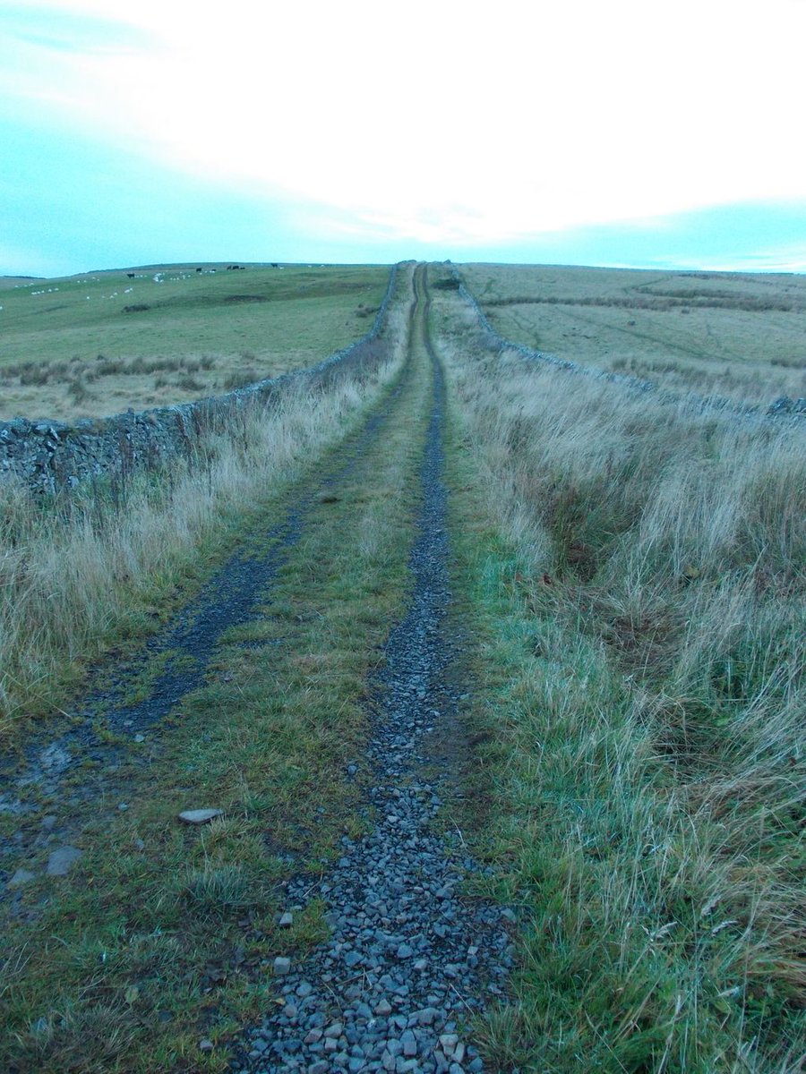 TrimontiumTrust's tweet photo. A cold and lonely Road - how many people have walked this way and what history has been witnessed here?  This image shows Dere Street #Roman Road as it crosses the border from England into Scotland on the way to #Trimontium. The road was built by occupying Romans in AD 79—81. https://t.co/4BaCZYIiNC