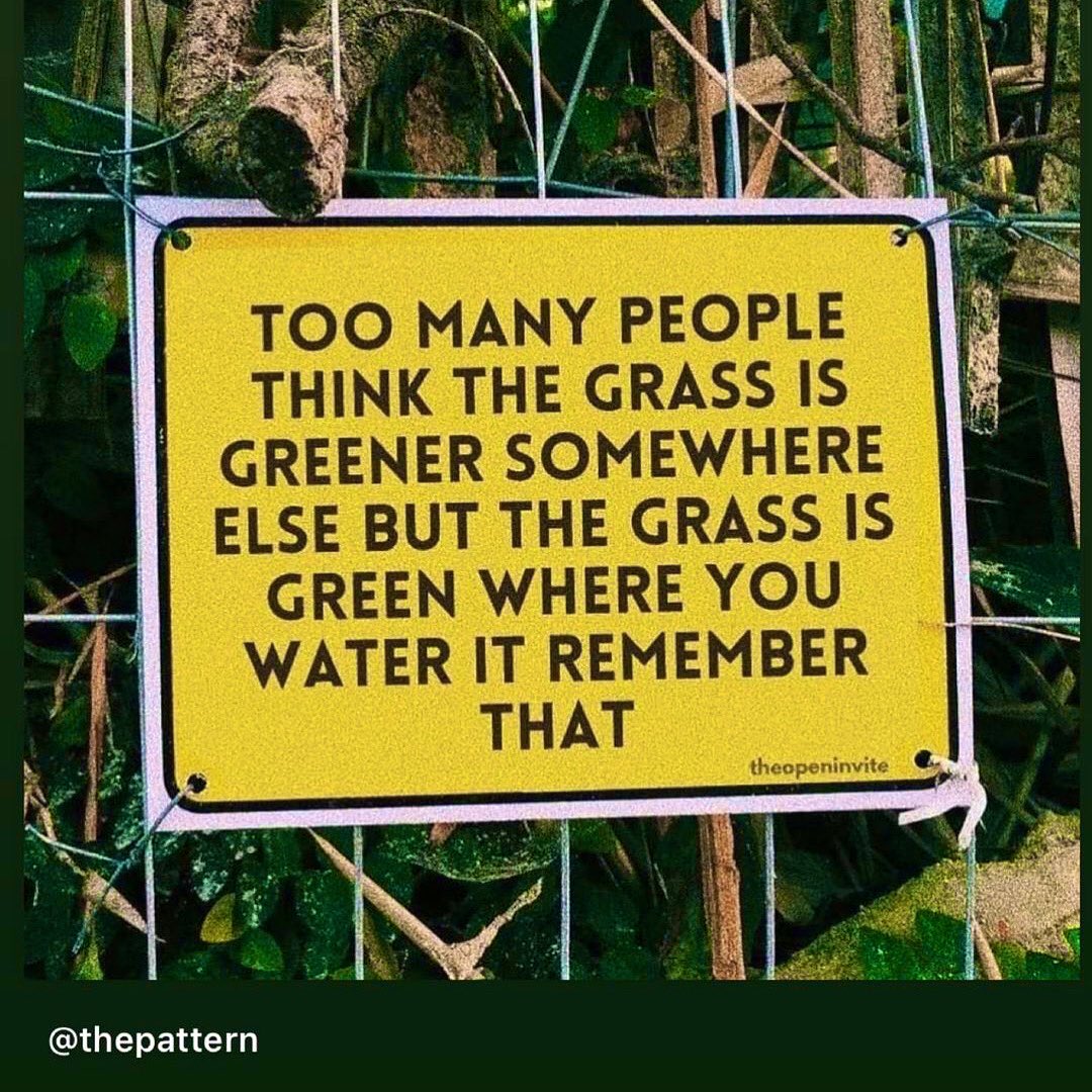 Too Many People Think The Grass Is Greener Somewhere Else, But The Grass Is Green Where You Water It . 
🍂 🌱🍃💦🌷#GrowthMindset 
#LifeLessons #Relationships #Consistency #ThePattern Remember That 👍🏽