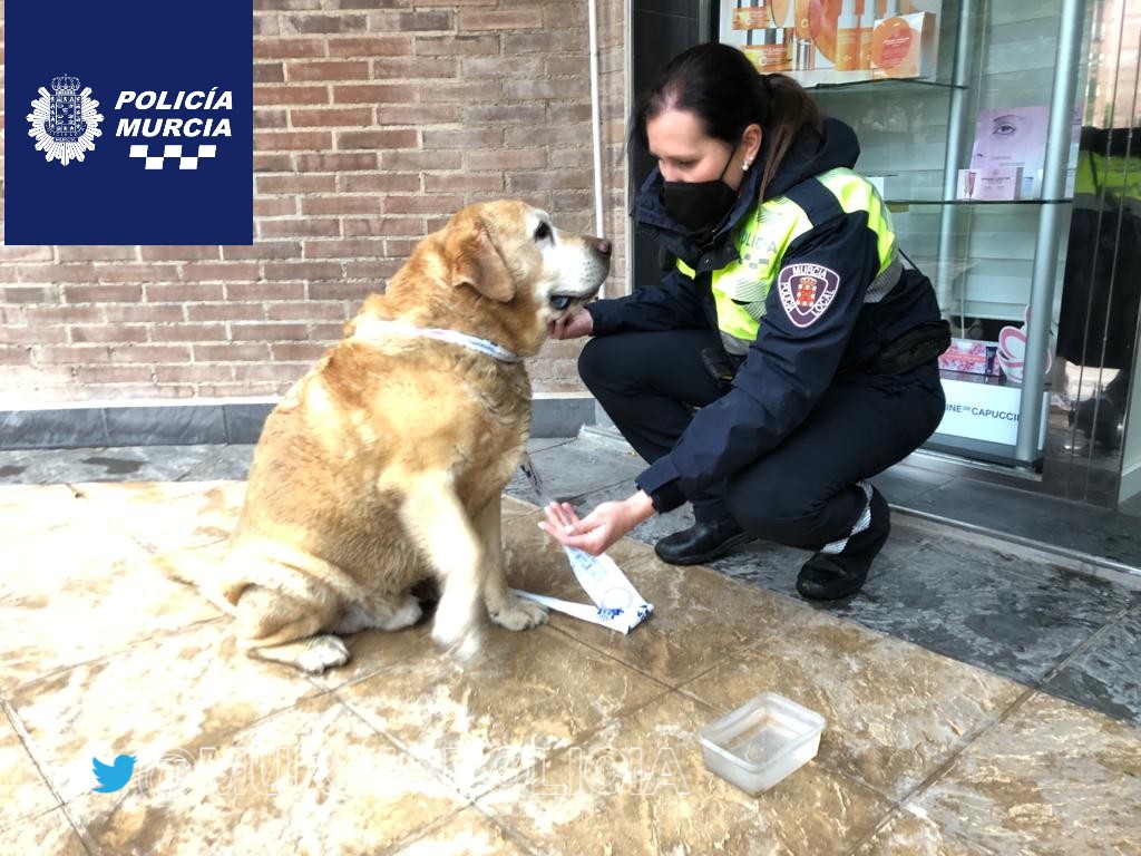 Policía Local Murcia tweet media