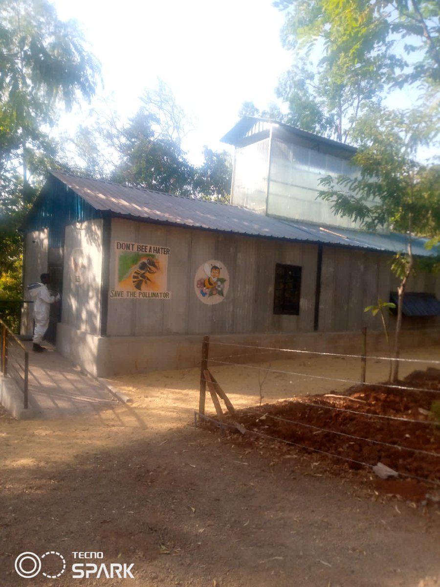 benard_kiruthu's tweet photo. Its now Time to Take🐝 #BeeKeeping more serious, its now no longer just About "kuanika miatu", We Now taking the 🐝Beez BEEzness a notch higher😊🥳
#modernApiarists
#modernBeeKeeping
#IndoorsBeeKeeping https://t.co/kR3lkikpjA