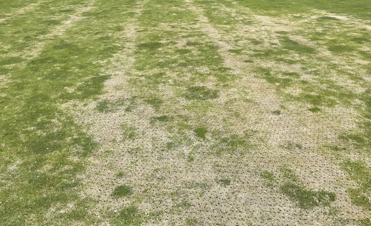 Adam Moeller tweet media