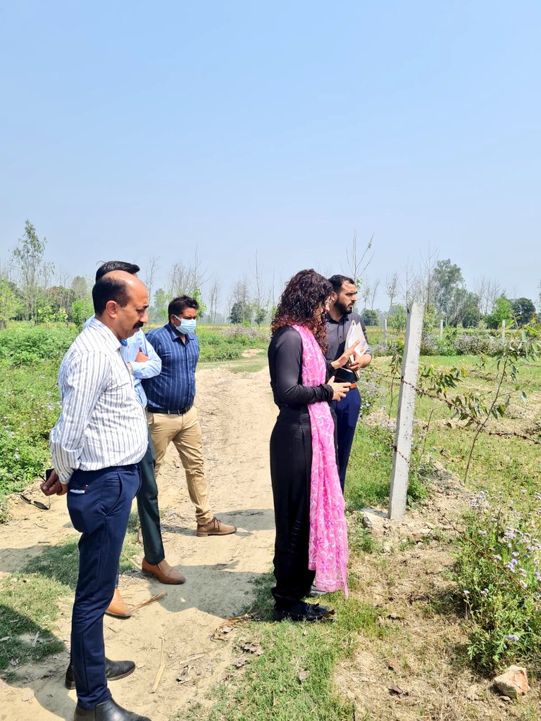 CdoRampur's tweet photo. 🌲 🏡ग्राम पंचायत -सीगंनखेड़ा में गत वर्ष हुए Bulk Plantation Site को फेज 2 में MEDITATION GREEEN SPOT बनाने की योजना. इसे खेलो इंडिया से जोड़कर, तालाब में बोटिंग,कुल्लड़ चाय एवं बर्ड साइटिंग स्पॉटस होंगे विकसित।🏡 🌲 
#kheloindia #planplus
@deorampur https://t.co/uzpJJSSEcE
