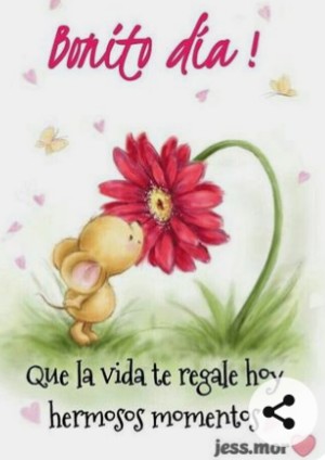 Teresalopezverd's tweet photo. Buenos dias https://t.co/pIyAi6JBwt