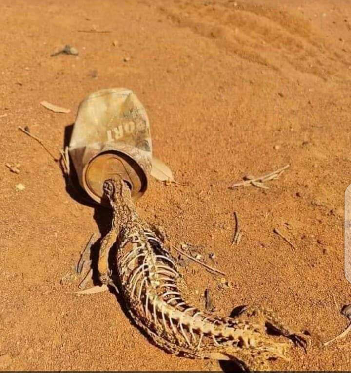maxhobber's tweet photo. Heeee Mira ndingoisa musoro chete sha....unofira mahara siyanai nazvo izvi😂😂😂 https://t.co/cta0Sv3TwT