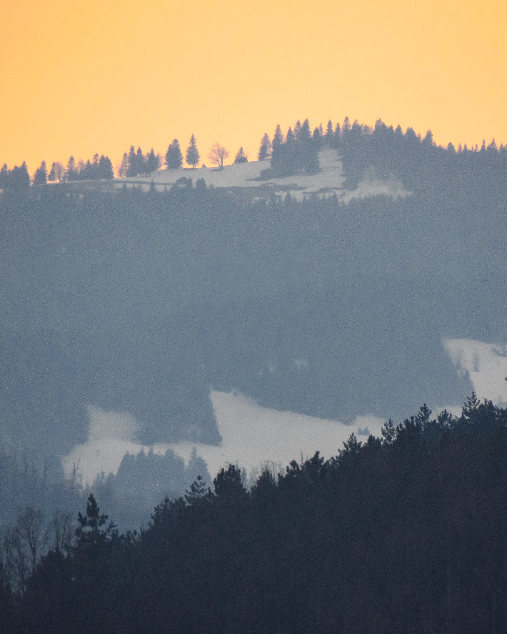 Badoo donja goliješnica