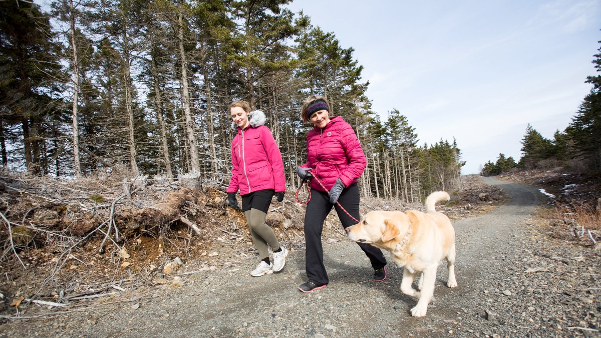 It’s Spring which means time to get outside!!! <a href="/NSTrails/">NS Trails</a> provides location guides for hiking, biking, ATVs, and other outdoor activities across the province. Stroll over to novascotiatrails.cioc.ca.