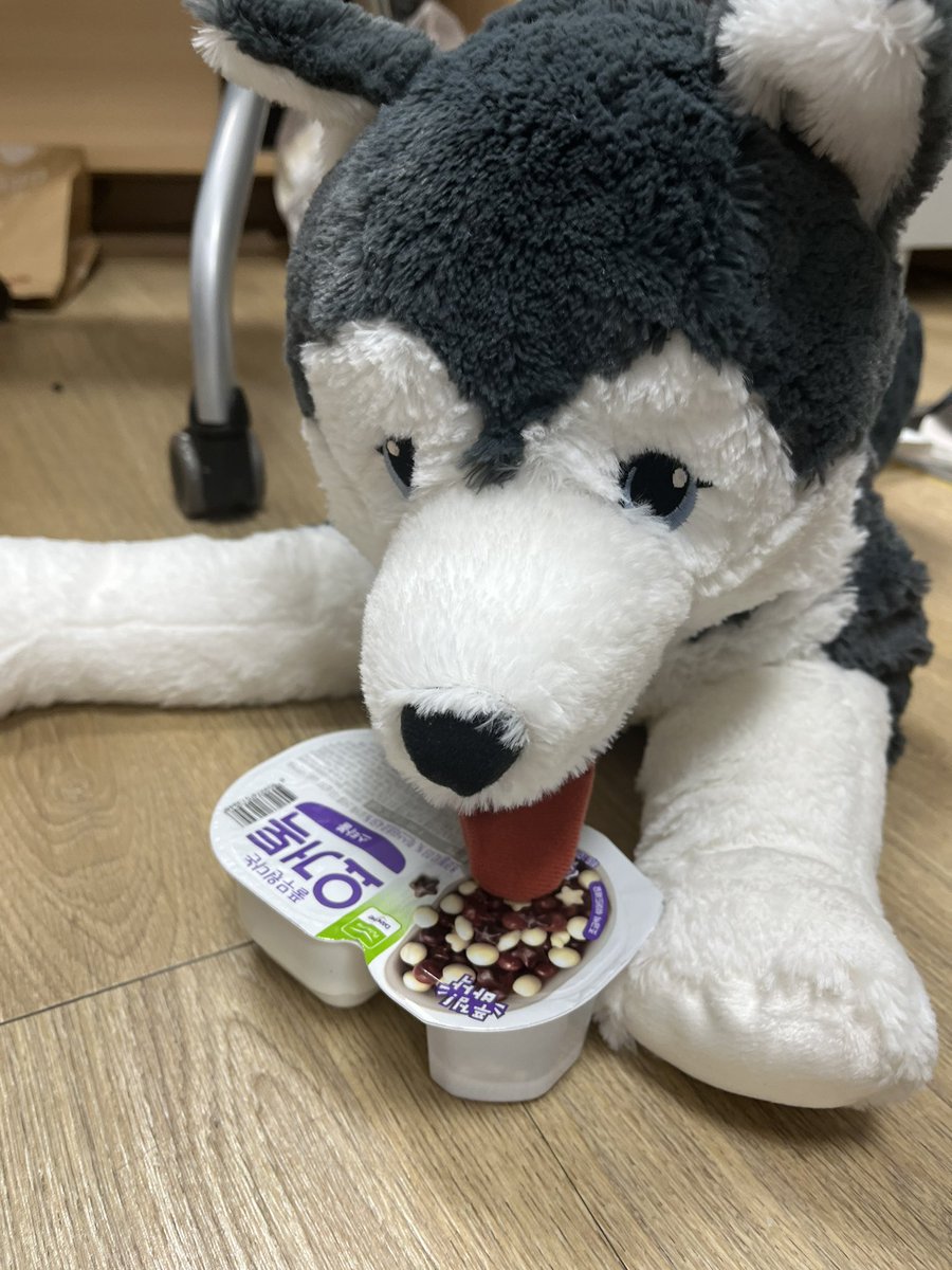 nxy_19's tweet photo. 明日的な今日はティンプルで発表する日なり。。やだなあ。。 https://t.co/Bt9os83xE3