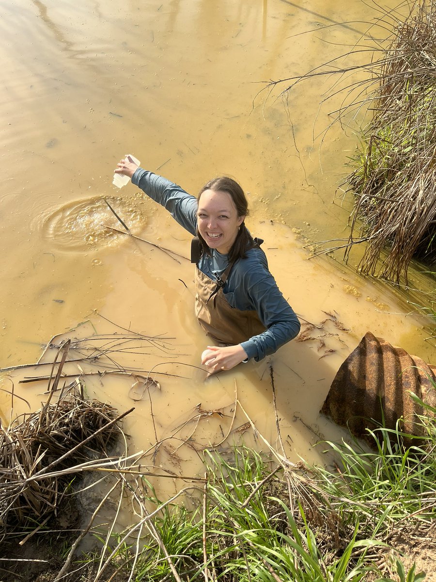 Caitlin Sweeney tweet media