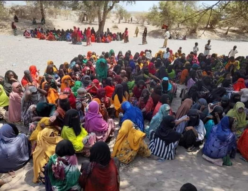 Abu_ruffa99's tweet photo. The #TPLFTerrorist has taken control of #northernAfar and turned Afar into a battlefield. More than 300,000 innocent people have been displaced by heavy artillery fire.
#AfarGenocide
#Afar_wins https://t.co/OCALHx2xeJ