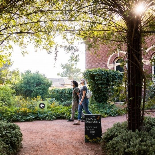 LAdynerdsLA's tweet photo. Los Angeles is warming up and spring is finally here. ☀️🦋

That means it's time for the return of the Natural History Museum's springtime exhibition Butterfly Pavilion, where you can walk among hundreds of beautiful butterflies and colorful native plants: https://t.co/lIh5zMqgvW https://t.co/RwuPFHEvkU
