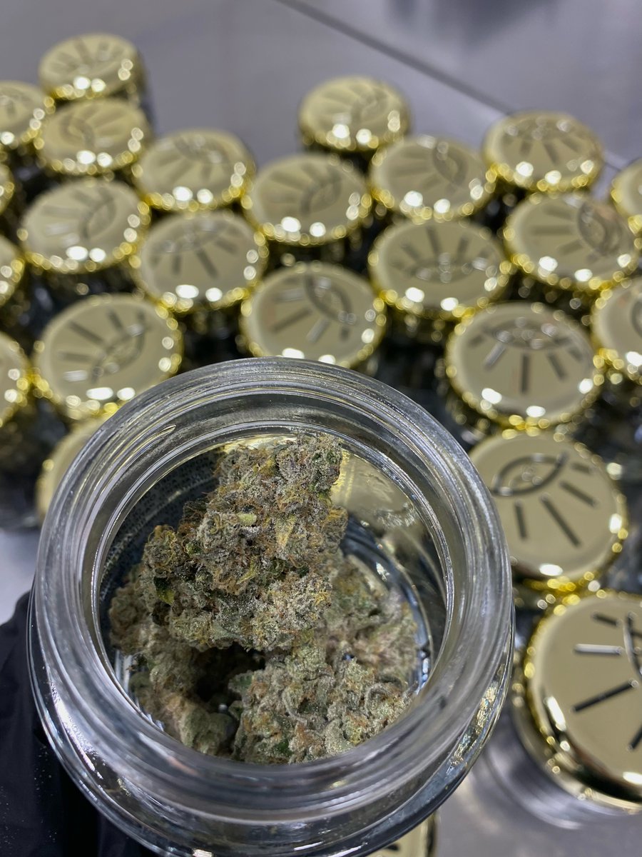 KingsGardenInc's tweet photo. Can’t beat the feeling of a fresh Baller Jar full of First Class Funk 🔥 What are your go-to KG strains? Let us know down below!

#KingsGarden  #LiveLikeAKing #KingofWeed #WhenQualityMeetsQuantity #KingsGardenFamily https://t.co/TzanS1htLj