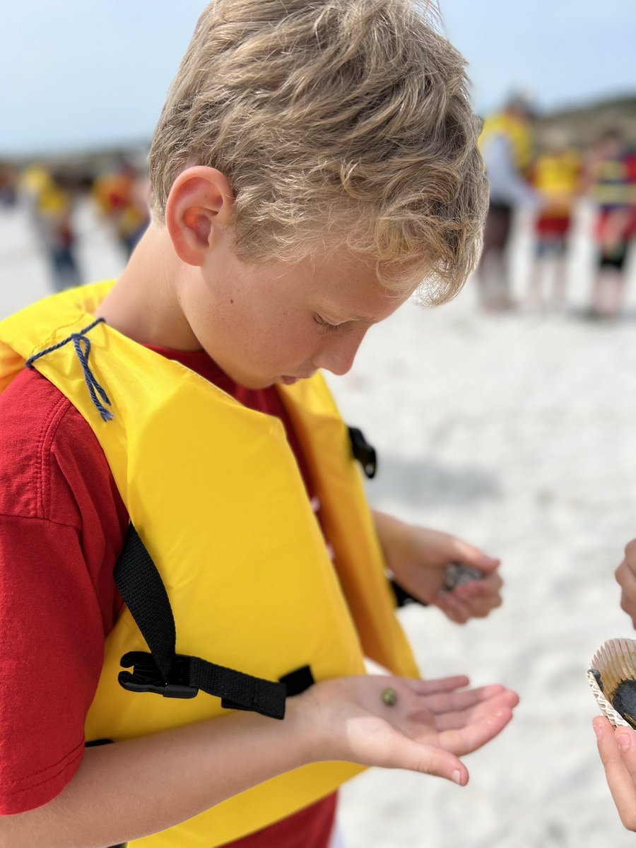 jmccroskeycb's tweet photo. Being a parent today! The field trip to Masonboro Island was tons of fun! https://t.co/D173snfxF9
