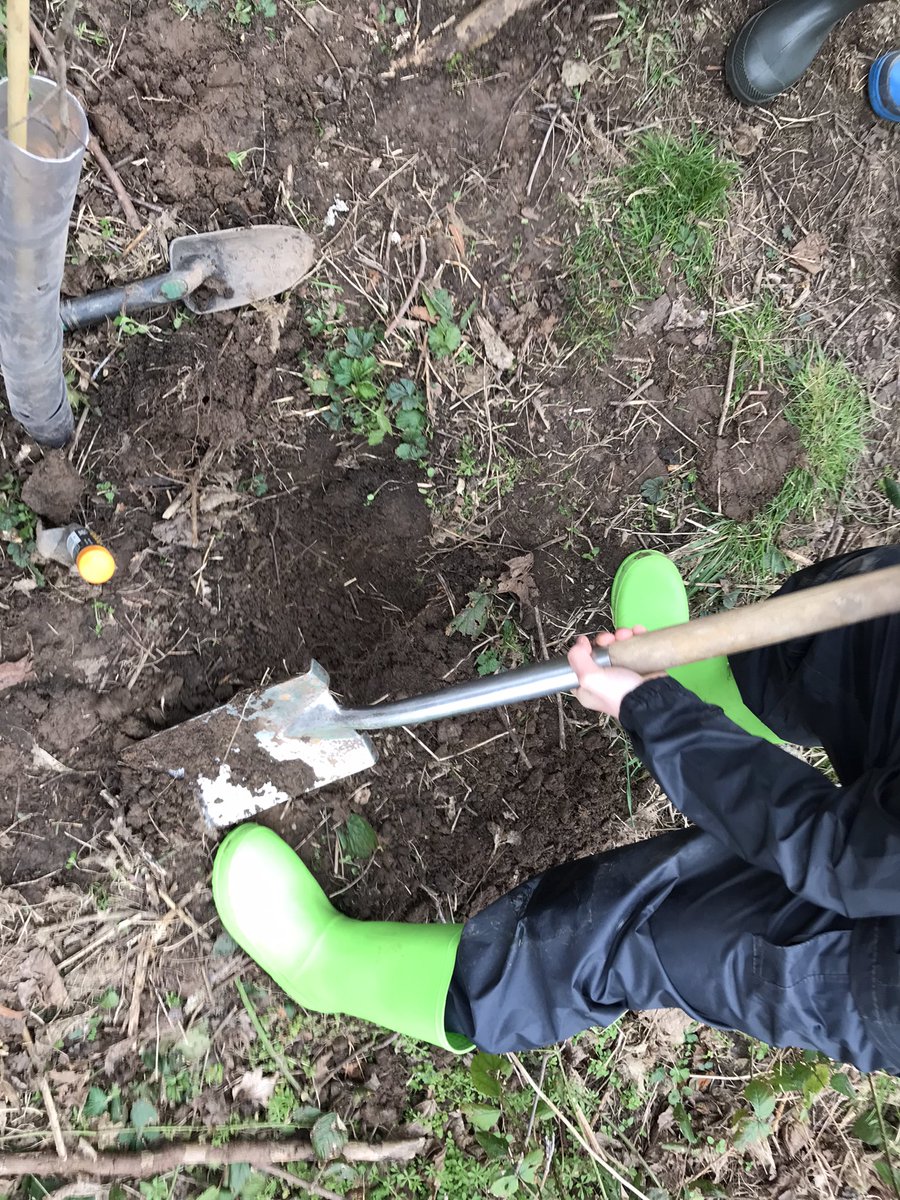 MrsBatemanFS's tweet image. Our Jubilee tree planting for the Queen’s green canopy is taking shape.  @QGCanopy  @TheTreeCouncil @UnityBlackpool