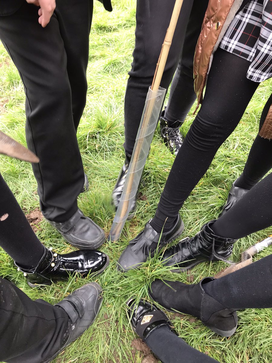 MrsBatemanFS's tweet image. Our Jubilee tree planting for the Queen’s green canopy is taking shape.  @QGCanopy  @TheTreeCouncil @UnityBlackpool