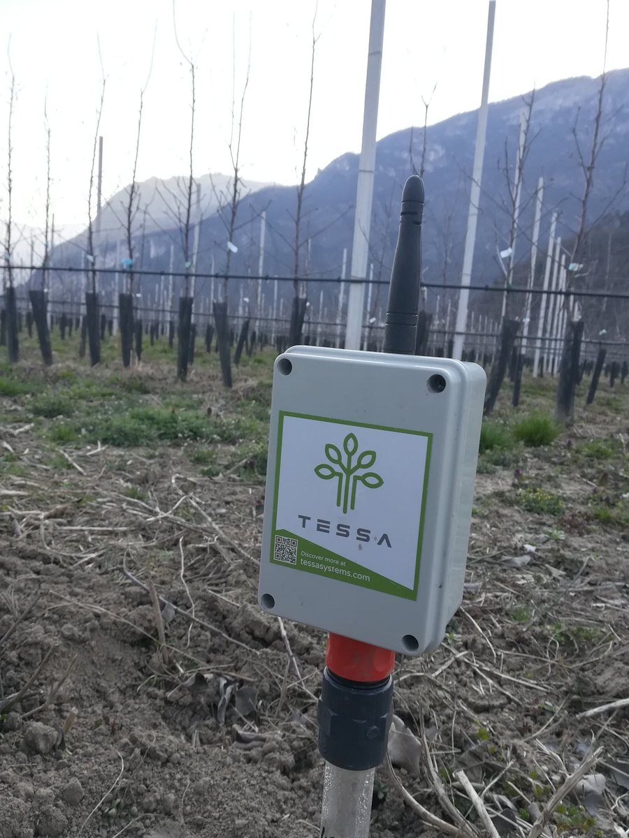 Oggi è il #WorldWaterDay 🌍 💧e Tessa è in campo per supportare gli agricoltori ad irrigare in modo consapevole e #sostenibile! 🌱 🍏🍒🍇 👩‍🌾

#TessaAgritech #MoreKnowledgePerHectare #SmartAgriculture #SmartIrrigation #giornatamondialedellacqua