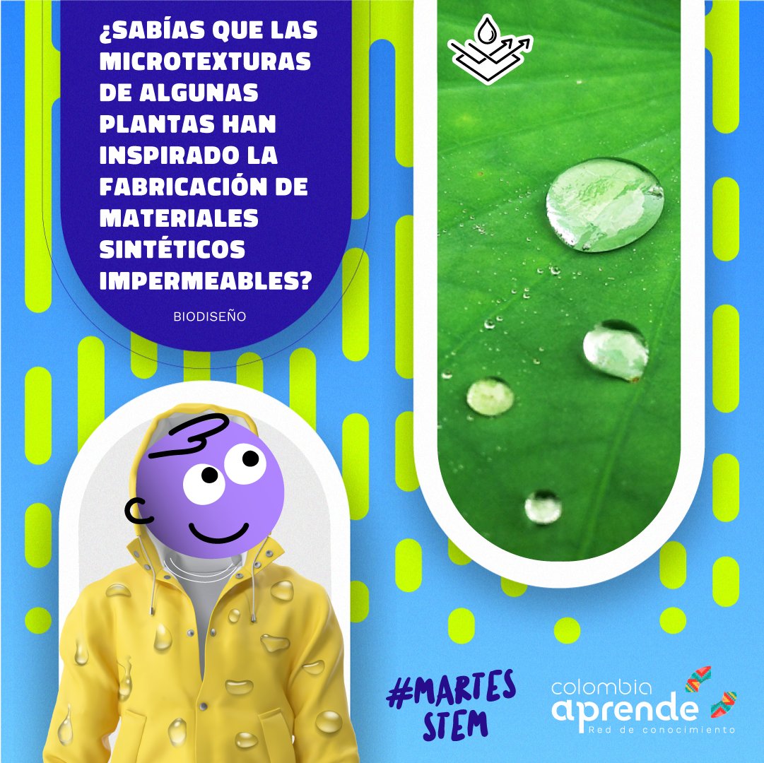 ColombiaAprende's tweet image. Mira a tu alrededor y pregúntate ¿cuáles objetos están inspirados en la naturaleza? ¡Sabemos que son muchos! Por eso hoy en #MartesSTEM, #SoyDIVA trae contenidos de #Biodiseño que están en #ColombiaAprendeParaTodos. 
¡Hay mucho por descubrir! 👉bit.ly/3xlNRdT #Atarraya