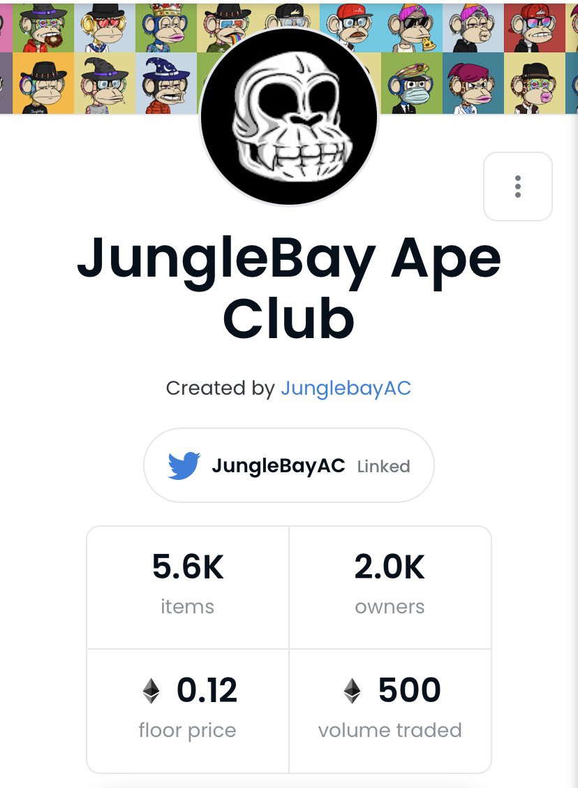 Jungle Bay Artists Collective tweet media