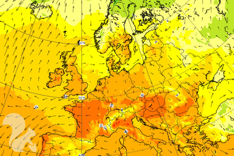 KollectIE's tweet photo. Ireland is going to be hotter than parts of Spain this week! We recommend reacquainting yourself with the back garden! If you need help with any junk clear-outs, you know where we are! 👉 https://t.co/gdGAWPtSpN https://t.co/rhn6sHB4NM