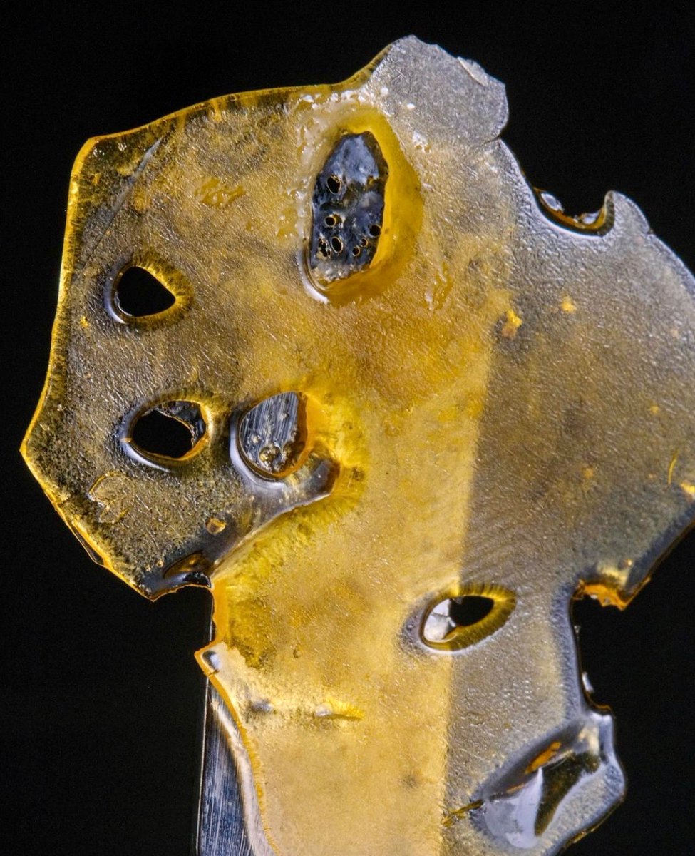 KingsGardenInc's tweet photo. There is nothing like a fresh batch of shatter 🍯 Crafted exclusively in-house - Created for a elevated concentrate experience unlike any other 

📸  @CVALT1

#KingsGarden #TheKingsWay #KingofWeed #WhenQualityMeetsQuantity #KingsGardenFamily https://t.co/MWxBrFinE8