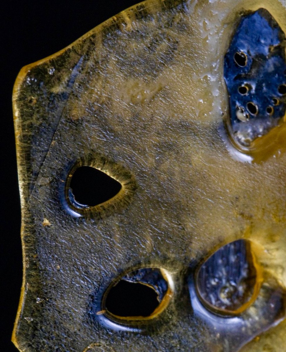 KingsGardenInc's tweet photo. There is nothing like a fresh batch of shatter 🍯 Crafted exclusively in-house - Created for a elevated concentrate experience unlike any other 

📸  @CVALT1

#KingsGarden #TheKingsWay #KingofWeed #WhenQualityMeetsQuantity #KingsGardenFamily https://t.co/MWxBrFinE8
