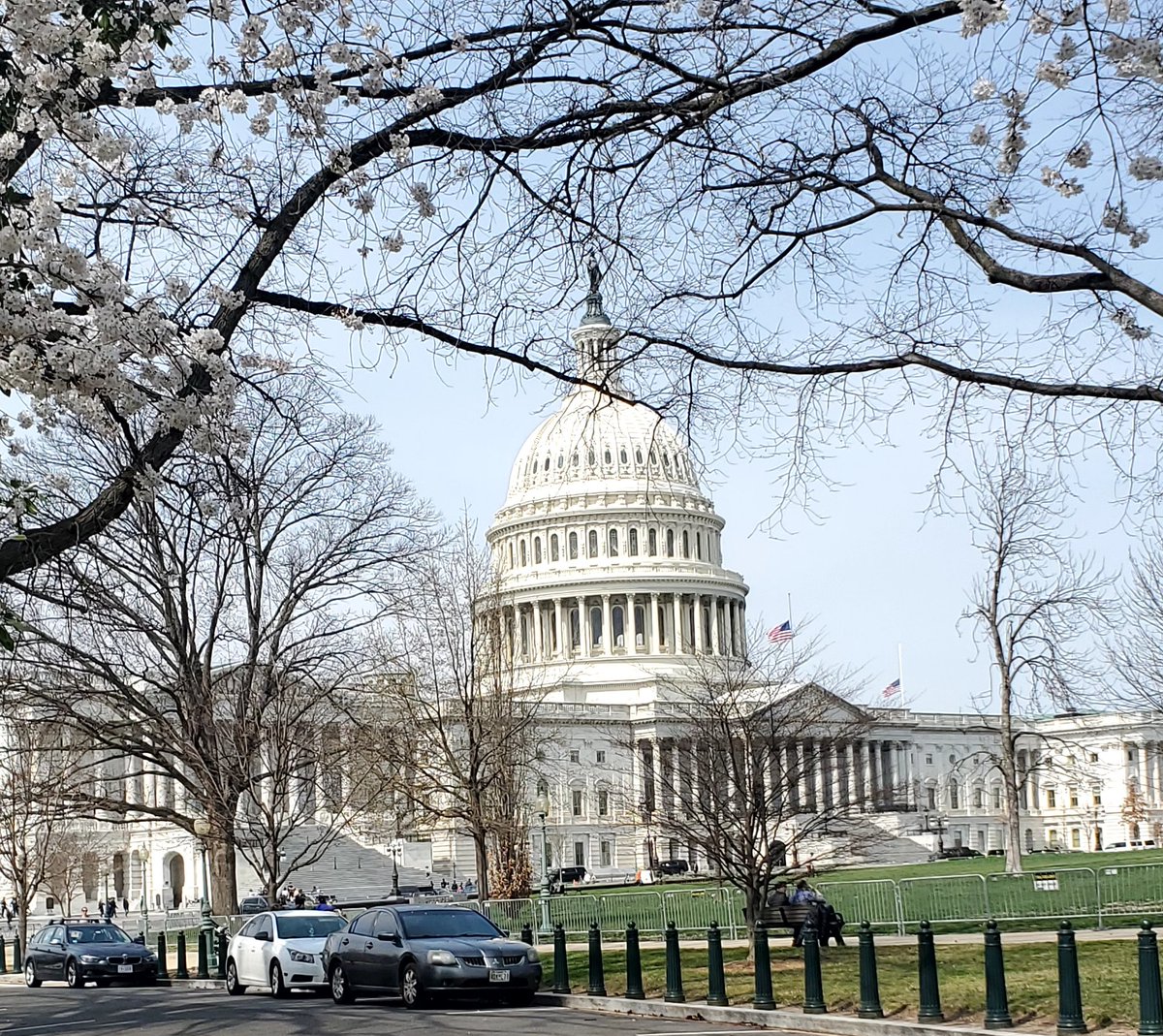KatMerullo's tweet photo. Perfect weather for the @AmerDentalAssn lobby day. #toothparty https://t.co/uQxF3xc5J4