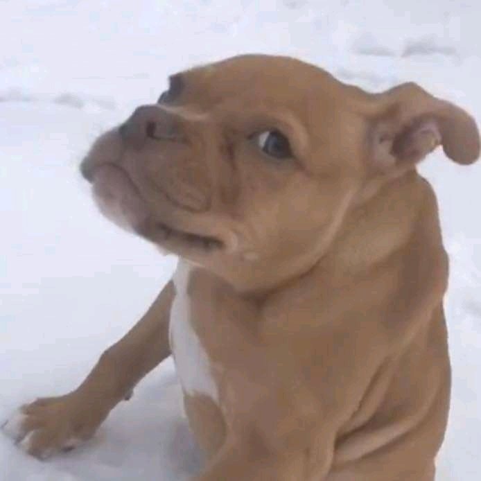 President Cyril Ramaphosa forcing the nation to test or vaccinate in order to attend events