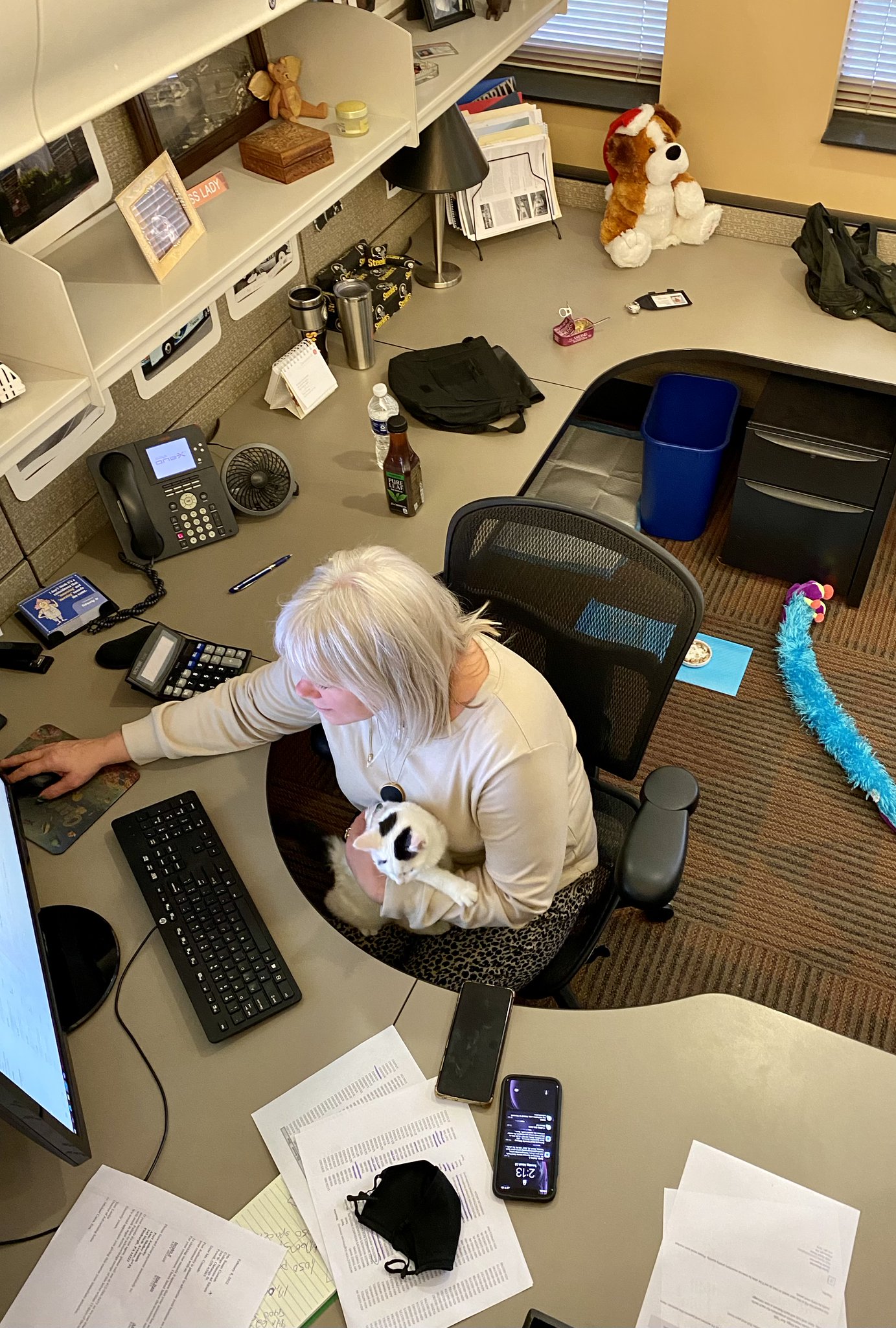 port-authority-pgh-on-twitter-we-ve-put-the-kitten-to-work-in-our