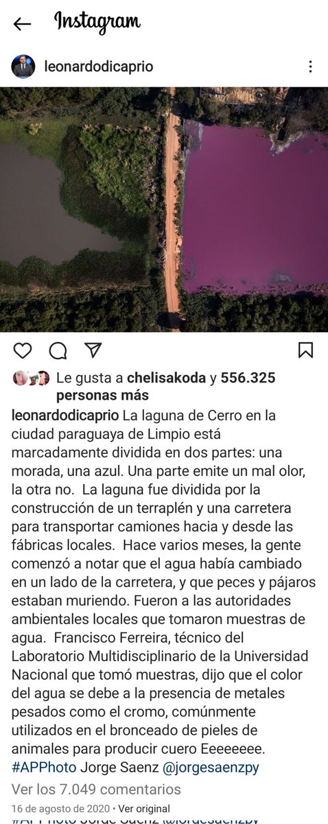 bioconsarq's tweet photo. #MeganFox #LeonardoDicaprio 
¿cuántos más deben venir para educarnos? 
La importancia del cuidado medioambiente, de la  biodiversidad y la naturaleza, único patrimonio que podemos explotar y disfrutar, porque el resto está arruinado. #Asunción https://t.co/HcXF9BnUTm