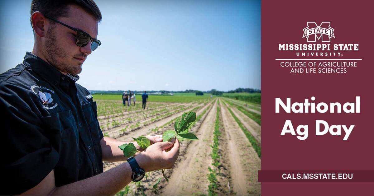 Happy National Ag Day from #MSUAg. We are grateful for the opportunity to train the next generation of ag leaders! #NationalAgDay #thankafarmer <a href="/AgIsAmerica/">Agriculture is America</a>