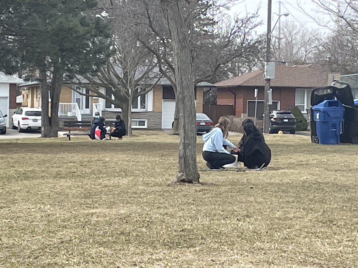 Working on Ephemeral/Land Art ⁦<a href="/DaveTerminesi/">David Terminesi</a>⁩ ⁦<a href="/charlesgordonps/">Charles Gordon SPS</a>⁩ ⁦<a href="/LC3_TDSB/">TDSB LC3</a>⁩