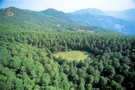 Oggi la giornata mondiale delle foreste. La Sicilia ha zone boschive di grandissimo valore.
Madonie,Iblei,Nebrodi,Peloritani,Sicani ecc..
Un patrimonio naturale che comprende quattro Parchi regionali che occupano una superficie di 184.655 ettari, e ben 74 riserve naturali.
