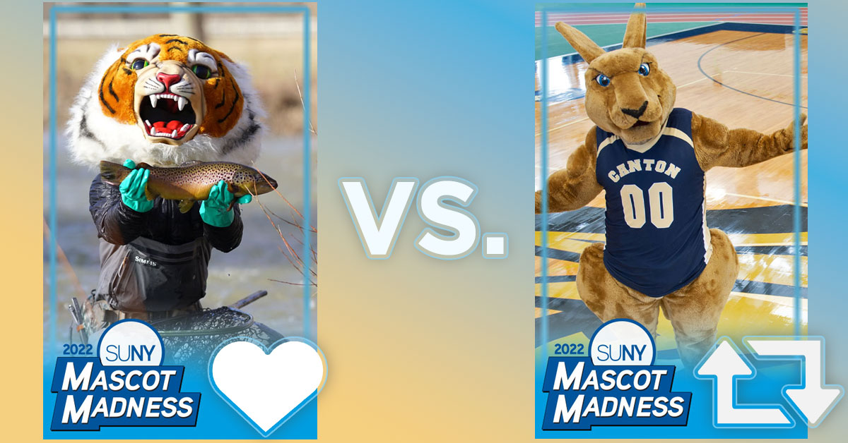SUNY's tweet photo. Bonus votes for round 1 of #SUNY #MascotMadness 2022. This is Region 2, Game 5:
Like = Coby Tiger of @SUNYCobleskill 
RT = Roody Roo of @SUNYCantonNews https://t.co/wZyy6oR9UB
