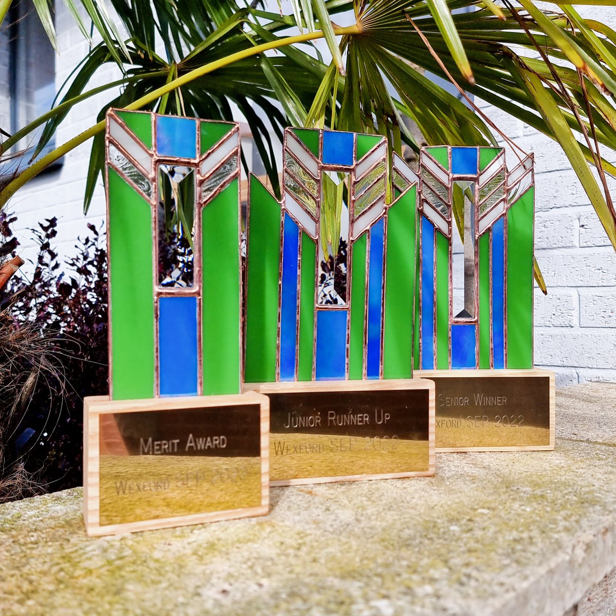 Wexford Student Enterprise Programme tweet media