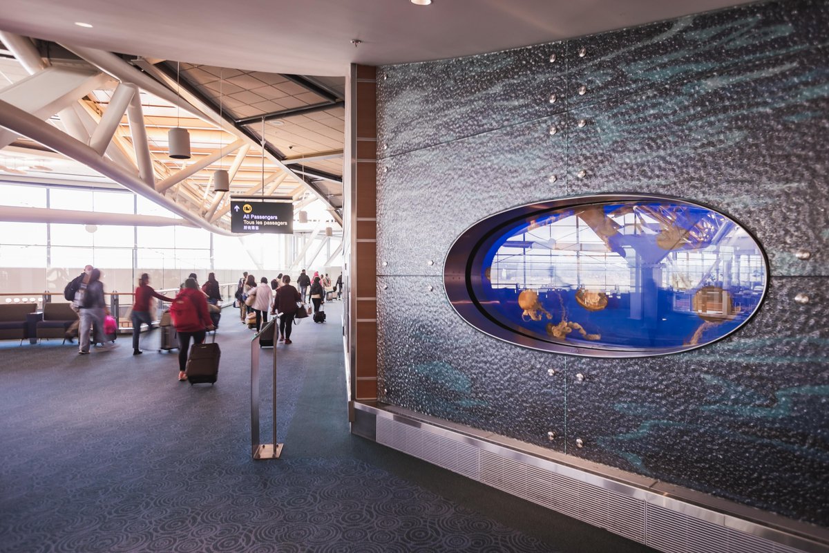 yvrairport's tweet photo. What do you call a jellyfish on a plane?

A flightoplankton.

Make sure you stop to visit YVR's jellyfish on your way to customs if you're arriving from an international flight. Have you seen our jellies? https://t.co/MGHv8h4J1h