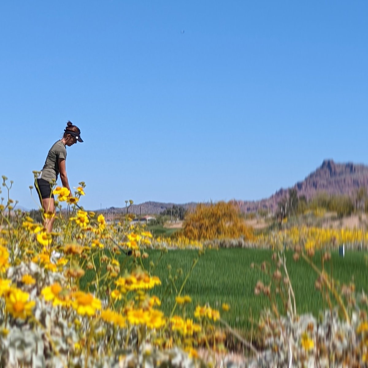 Meghan MacLaren tweet media