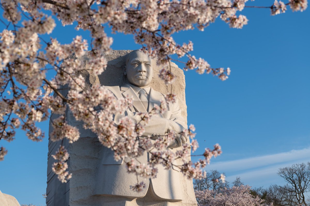 AdamBagun's tweet photo. This morning was my first time seeing the Cherry Blossoms at the Tidal Basin and they did not disappoint #cherryblossoms #sunrise #WashingtonDC @capitalweather @NationalMallNPS @JimCantore https://t.co/je3TGehEEe
