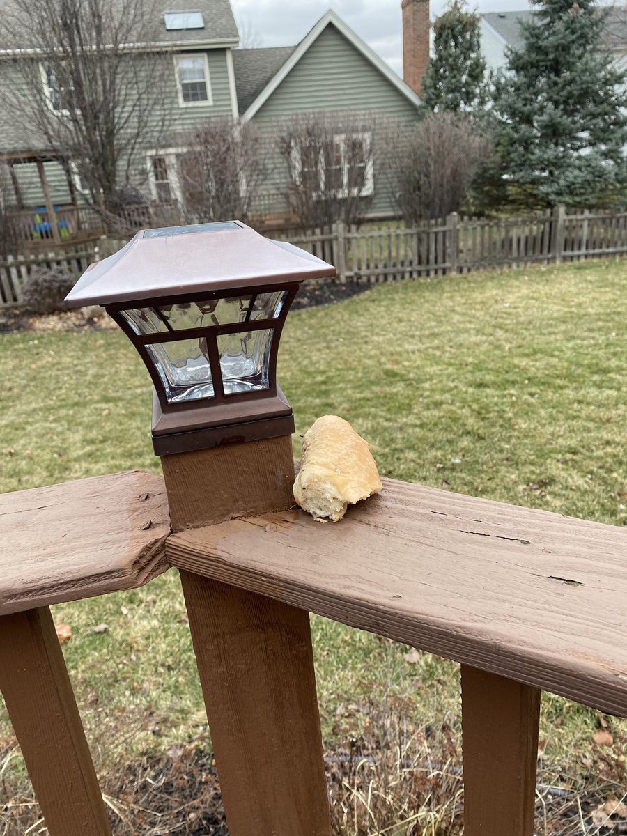 ChiStyleSizzle's tweet photo. Hey squirrels, you want some butter with that roll? #BullsNation #randomroll 😂 @Stacey21King https://t.co/ce0EIPZKYE