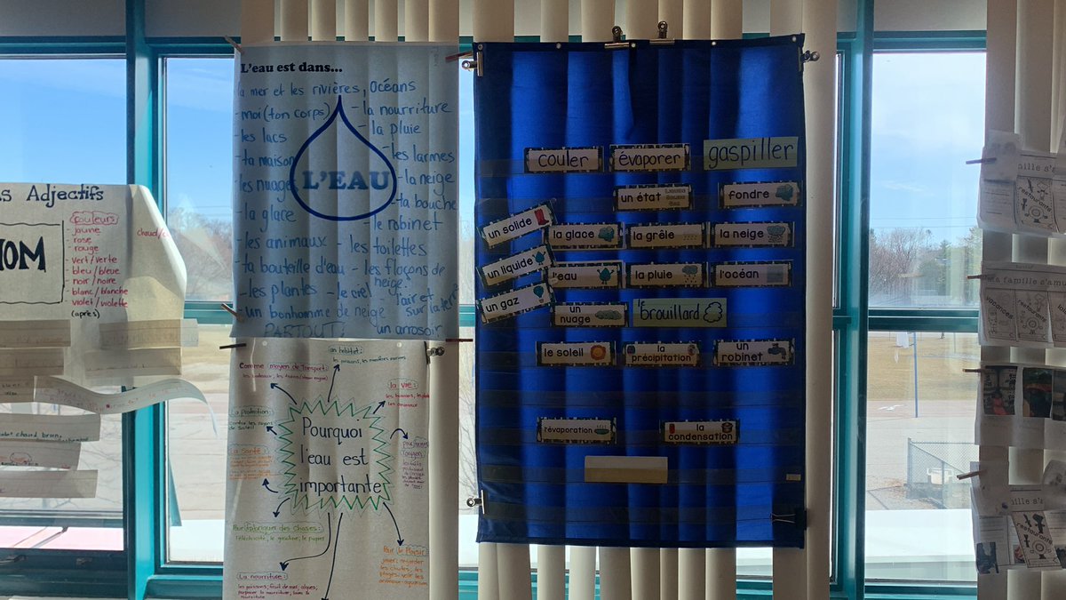 Chabot_secondST's tweet photo. World Water Day is held on 22 March every year and highlights the importance of fresh water. The day is used to advocate for the sustainable management of freshwater resources. As part of our science unit we have been learning about water. Here are the highlights. @tdsb_secondst https://t.co/QXk4KTm1qi